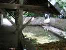 Billeux lavoir yvelines